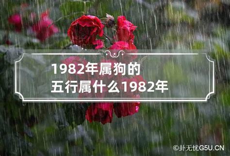 82年生肖|82年属什么 1982年五行属什么